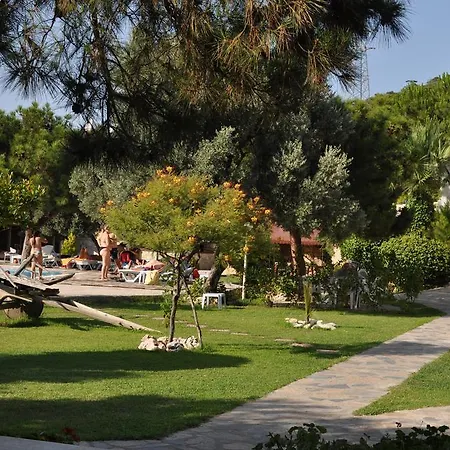 Club Mackerel Village