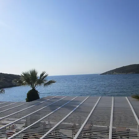 Club Mackerel Village