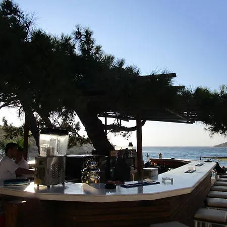 Club Mackerel Village Foca
