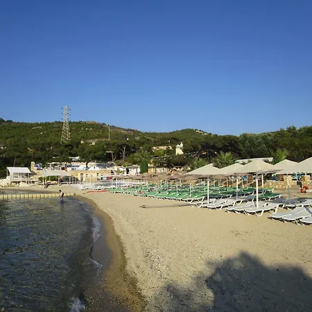 Club Mackerel Village Foca