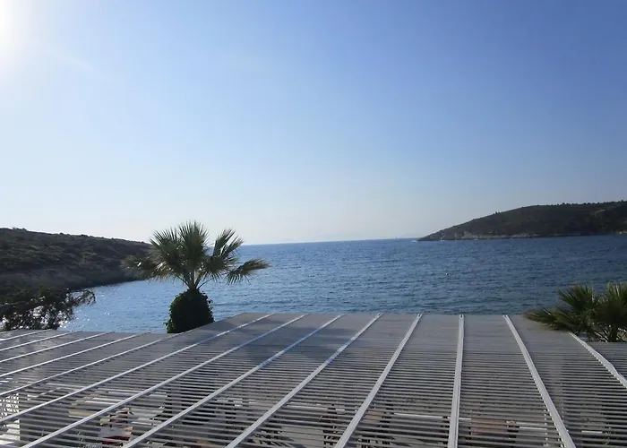 Club Mackerel Village